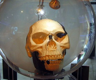 Replica of Piltdown man skull